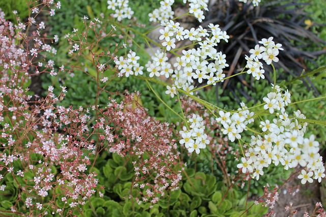 包括杰森