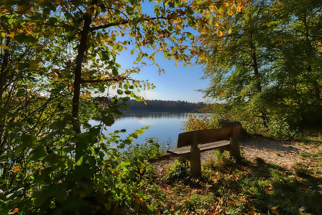 文问鼎欧冠 文问鼎欧冠
