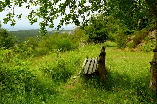 这与中国 这与中国